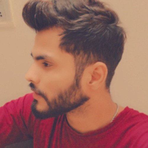 Deepak meena 0008.jpg