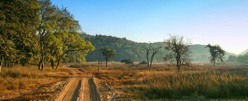 bandhavgarh nature.jpg