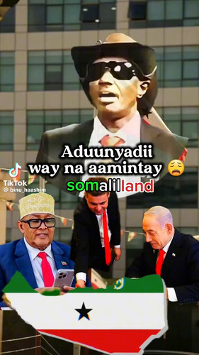 caMqpB5Mgmd dDZX.jpg