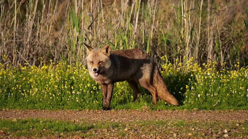 JOilsXq Pi6 LAxR.jpg