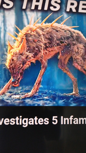 temp 1768053687119.jpg