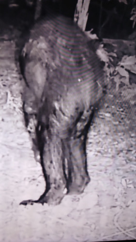 temp 1768053999340.jpg