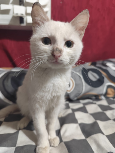 WhatsApp Image 2026 01 10 at 16.11.33 (11).jpg