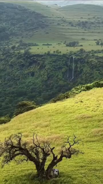 oOCD5lH J8fSjJn9.jpg