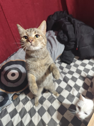 WhatsApp Image 2026 01 10 at 16.11.32 (12).jpg