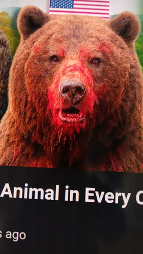 temp 1768053625261.jpg