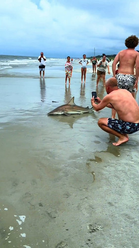 4PnIzXw5NMR HG3G.jpg