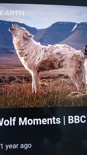 temp 1768053779821.jpg