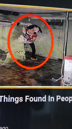 temp 1768053813714.jpg