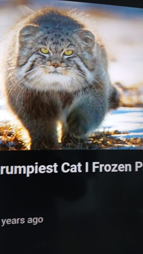 temp 1768053835856.jpg