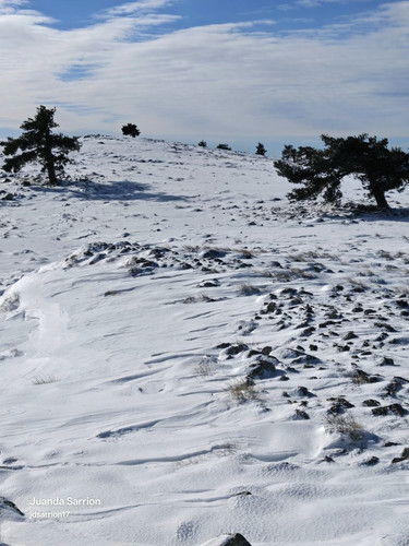 G Ks9tPXoAA8CN9?format=jpg.jpg