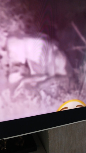 temp 1768054248776.jpg