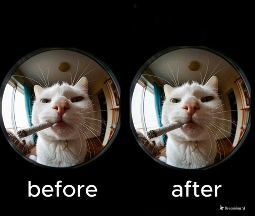 AmHxsCAgFh4 pnkr.jpg