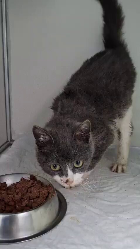 8WXFe nlmX9RhCQ0.jpg