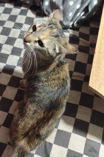 WhatsApp Image 2026 01 10 at 16.11.31 (7).jpg