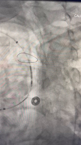 VFnymQXWC6oYlE6 .jpg