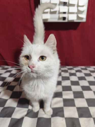 WhatsApp Image 2026 01 10 at 16.11.31 (4).jpg