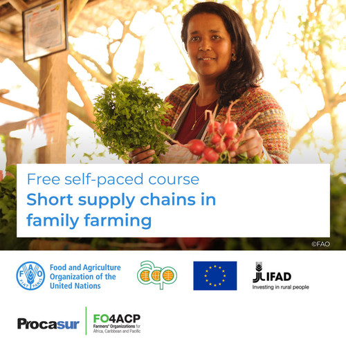 G JlYTNWYAAPELy?format=jpg.jpg