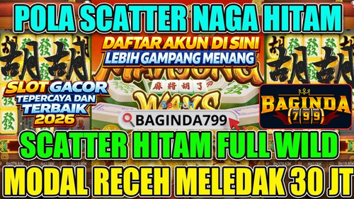 WhatsApp Image 2026 01 03 at 5.12.16 AM (2).jpg