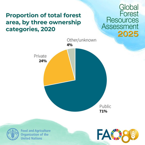 G SlXmVXMAE6 x1?format=jpg.jpg