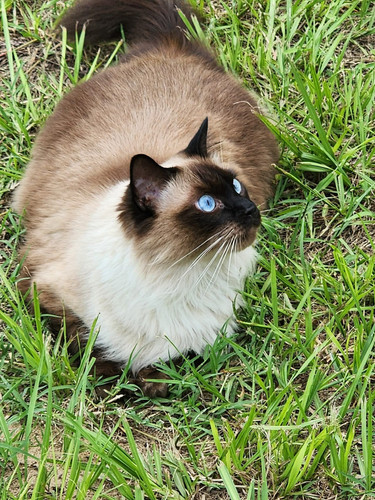 615173397 10163820672766165 7433777037604253122 n.jpg