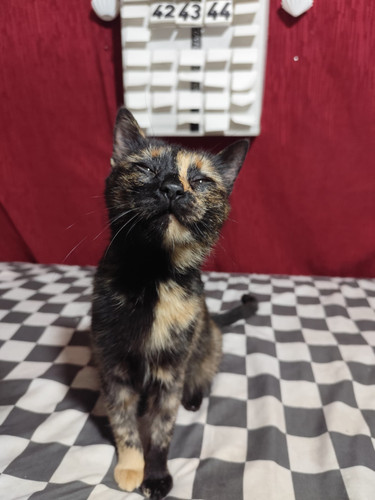 WhatsApp Image 2026 01 10 at 16.11.32 (8).jpg