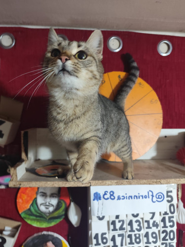 WhatsApp Image 2026 01 10 at 16.11.32 (11).jpg