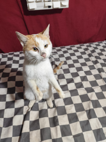 WhatsApp Image 2026 01 10 at 16.11.33 (1).jpg