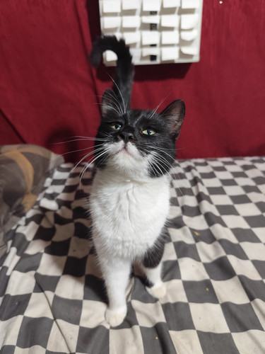 WhatsApp Image 2026 01 10 at 16.11.33 (2).jpg