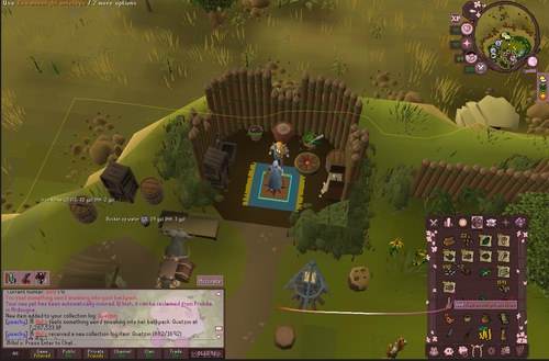 RuneLite qyolSJqf1y.png