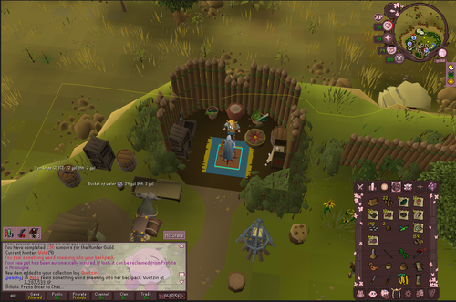 RuneLite WISafwvsiA.png