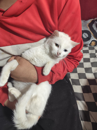 WhatsApp Image 2026 01 10 at 16.11.33 (6).jpg