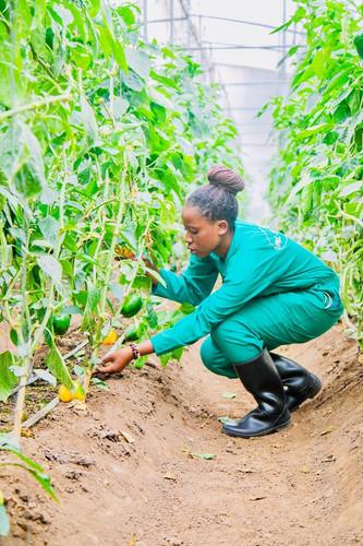 G SYw1tWIAAw2w ?format=jpg.jpg