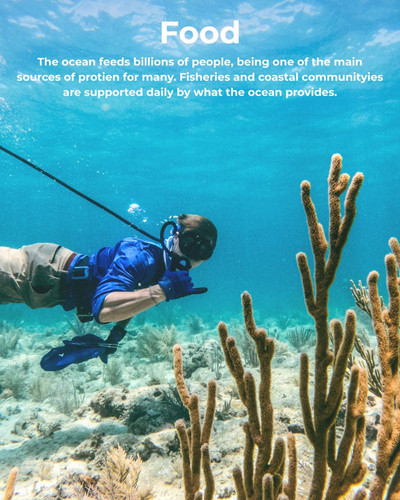 G O47jyX0AA7ekZ?format=jpg.jpg