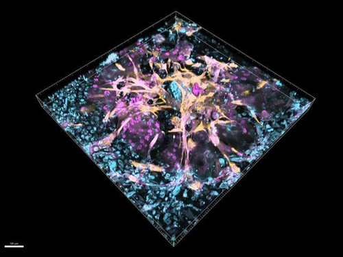 tI ENICmC6RLgepd.jpg