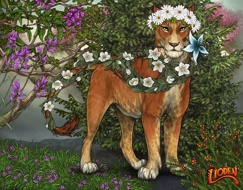 lion 794209635165.png