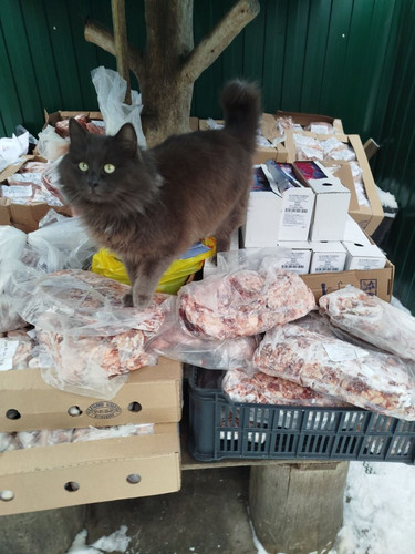 G TylAPXUAA H2S?format=jpg.jpg