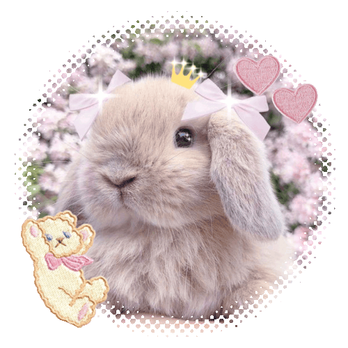 ezgif.com animated gif maker (1).gif