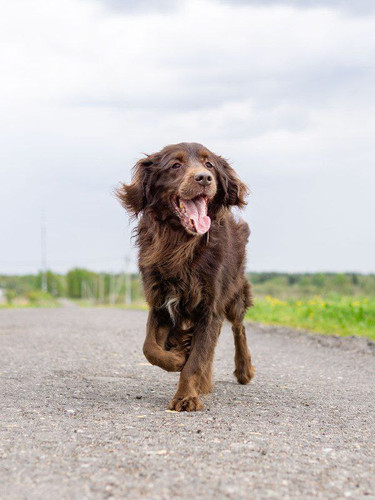 G SoDiFWAAAGqPf?format=jpg.jpg