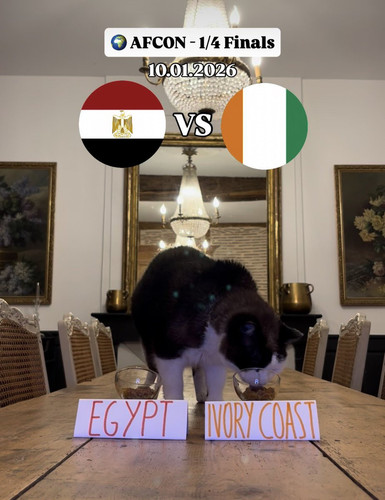 G SuiG0W4AAeb8s.jpg
