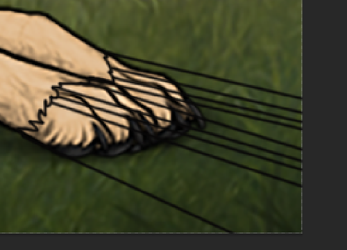 Capture.png