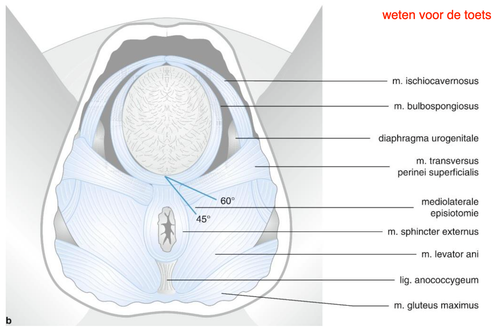 8f71c961038a.png