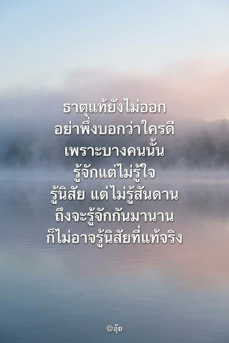 5110dca496b5.jpg