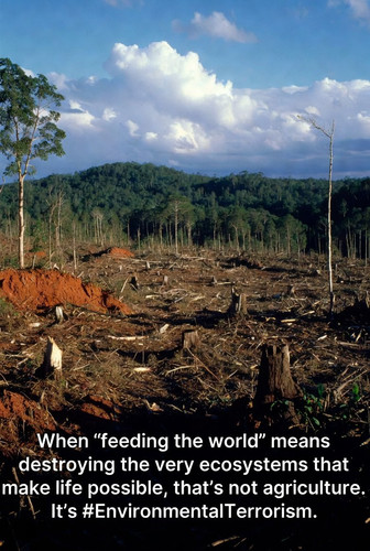 G Oo9JuWsAE4Vrm?format=jpg.jpg