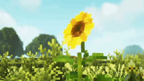 33831633 59BB 49A6 A5AA 8A0BCD4AFFC3.gif