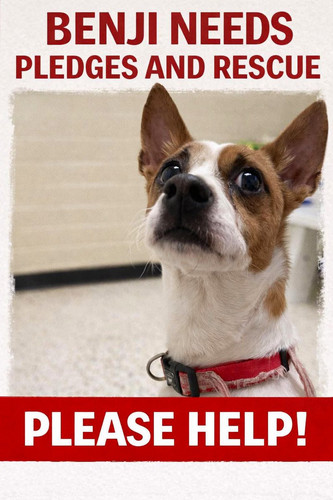 G Fc4a6bgAAHZyc?format=jpg.jpg