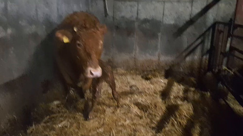 o 586XjZOi84cwjn.jpg