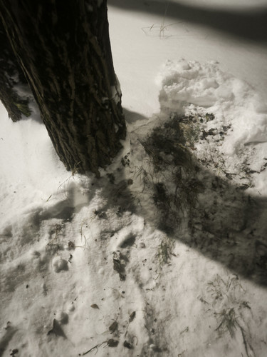 IMG 20260110 184444.jpg