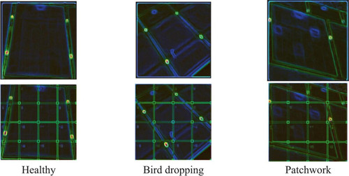 G NWvFBbYAEtjYd?format=jpg.jpg