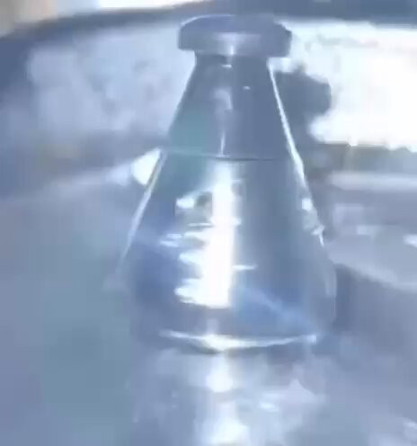 66Bfo dOmnDZb8WT.jpg